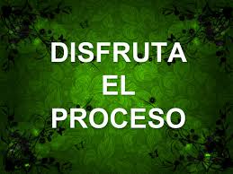 Disfruta El Proceso